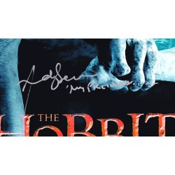 The Hobbit The Desolation of Smaug