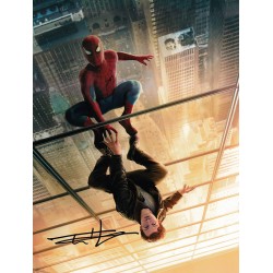 Spider-Man Brand New Day