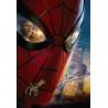 Spider-Man Brand New Day