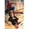 Spider-Man Brand New Day