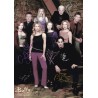 Buffy the Vampire Slayer
