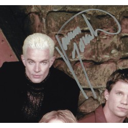 Buffy the Vampire Slayer