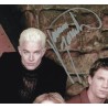 Buffy the Vampire Slayer