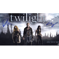 Twilight