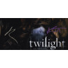 Twilight