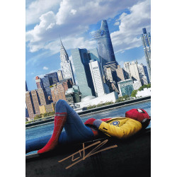 Spider-Man Homecoming