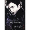 Twilight