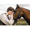 War Horse (2011)