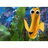 Finding Nemo
