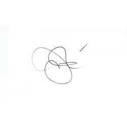 Jeremy Piven Signature