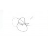 Jeremy Piven Signature