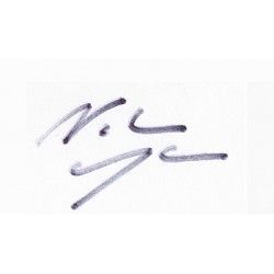 Noah Wyle Signature