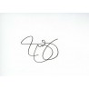 Jesse Spencer Autograph Signature Card
