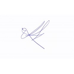 Nicole Kidman Signature