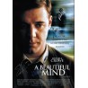 A Beautiful Mind