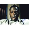 Get Out (2017)