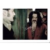What We Do in the Shadows Interviews with Some Vampires (2005)