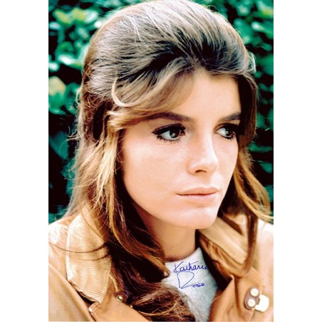 Katharine Ross Signed Photograph